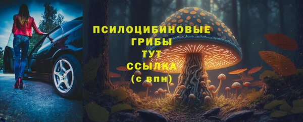 твердый Беломорск