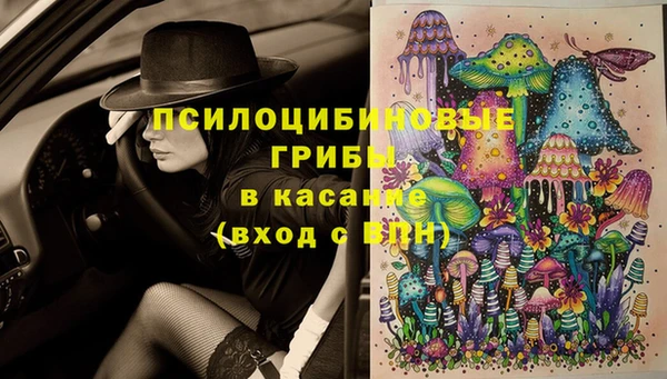 бошки Семилуки