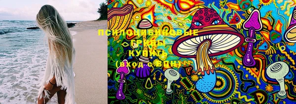 спайс Белокуриха